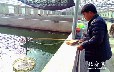 北辰区工厂化养殖水产品反季销售鼓了农民荷包-新闻中心
